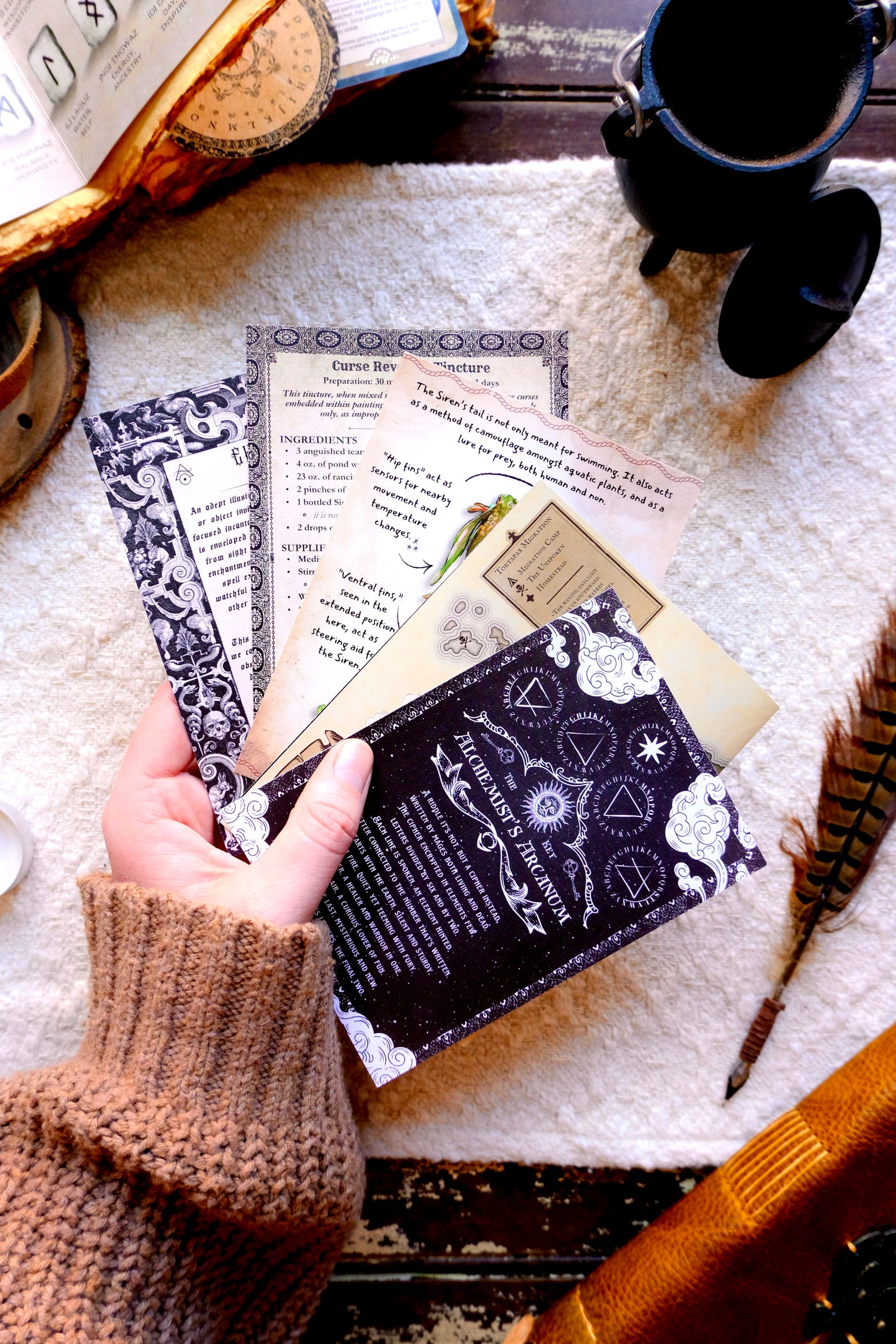 Six Months Gift