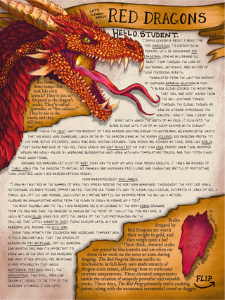 Past Lesson | January 2026 - Red Dragons