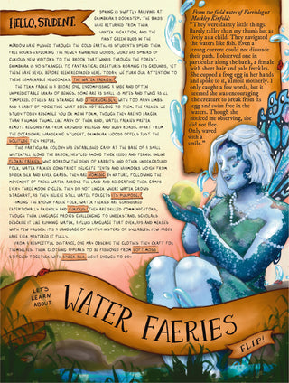 Past Lesson | March 2026 - Water Faeries