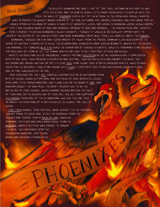 Past Lesson | September 2025 - Phoenixes